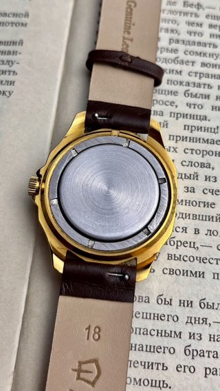 Вымпел, ручная роспись циферблата «Звёздная ночь»: задняя крышка, фото 7