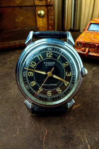 Родина, после обслуживания, новый кожаный ремешок: общий вид, фото 2